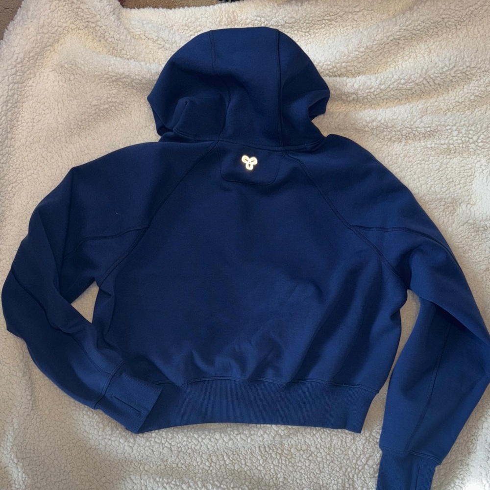 Aritzia Golden Fleece Cozy Blue Cropped Hoodie - Picture 3 of 7